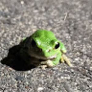 Meet your Posher, Lydia